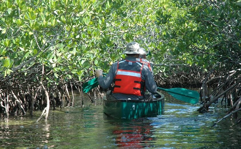 Biscayne National Park - Mangroves