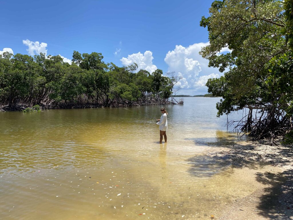 Everglades Fishing