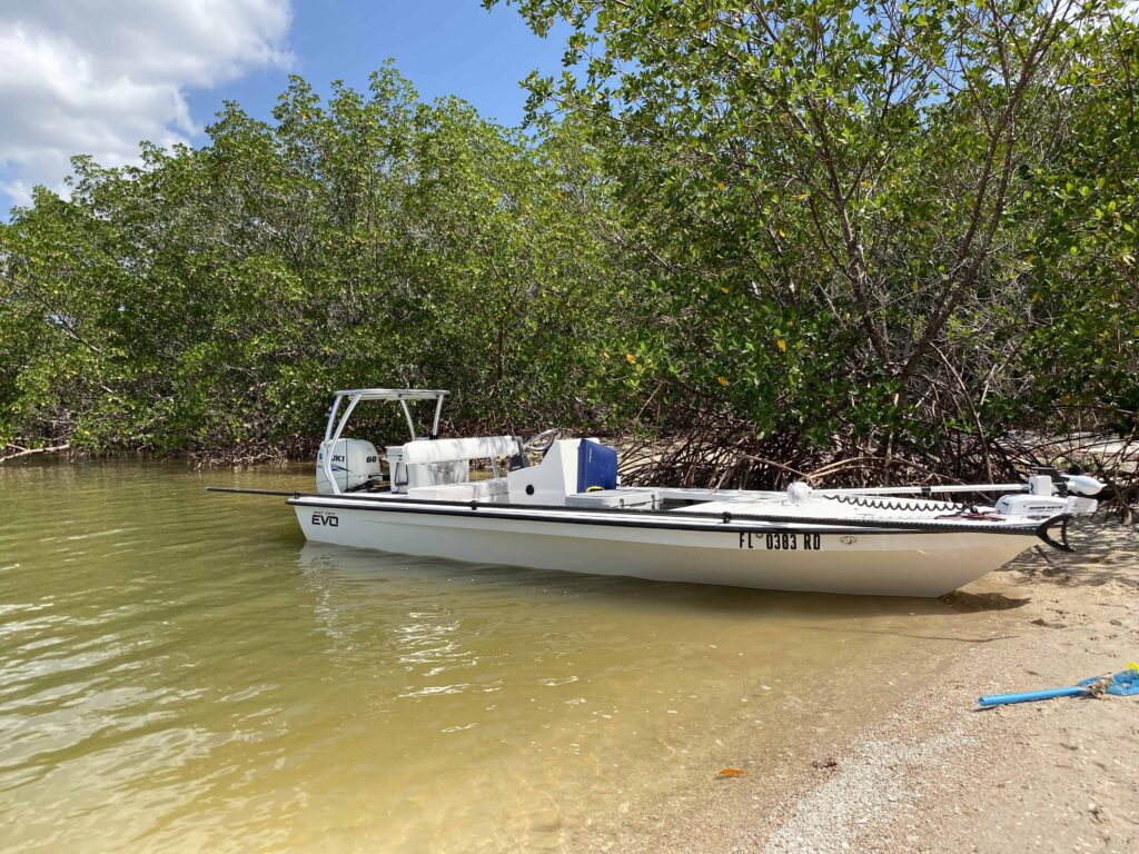 Everglades Fishing