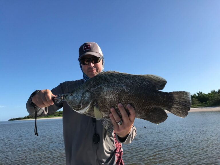 How To Catch Tripletail Fishing on Crab Pots