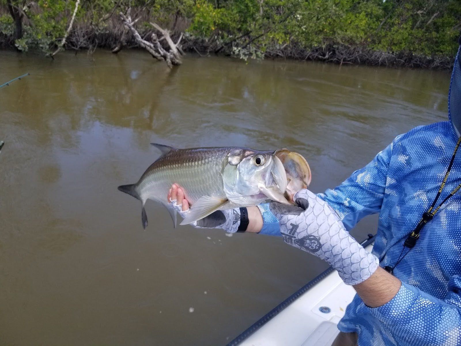 The 5 Best Tarpon Baits - Landing the Silver King