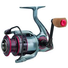 Crappie Rod and Reel - Pflueger President XT Reel