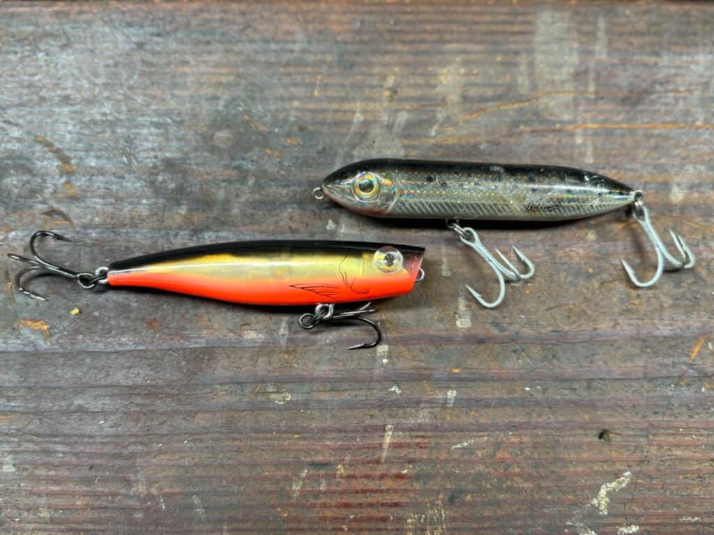 Topwater Lures - The Ultimate Strike Inducer