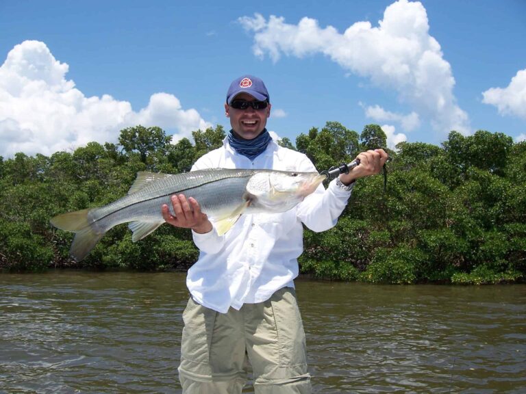 The Ultimate Guide to Soft Baits for Snook Fishing