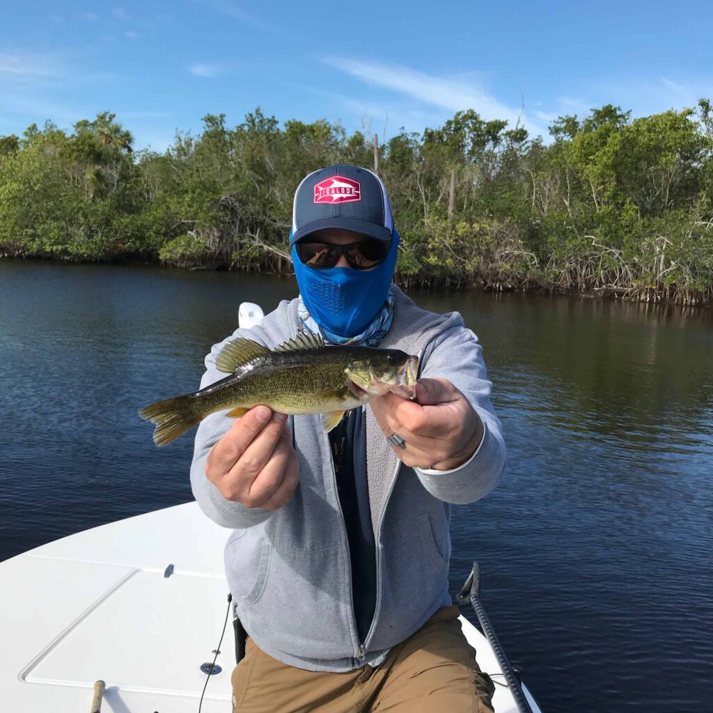 Summertime Bass Fishing