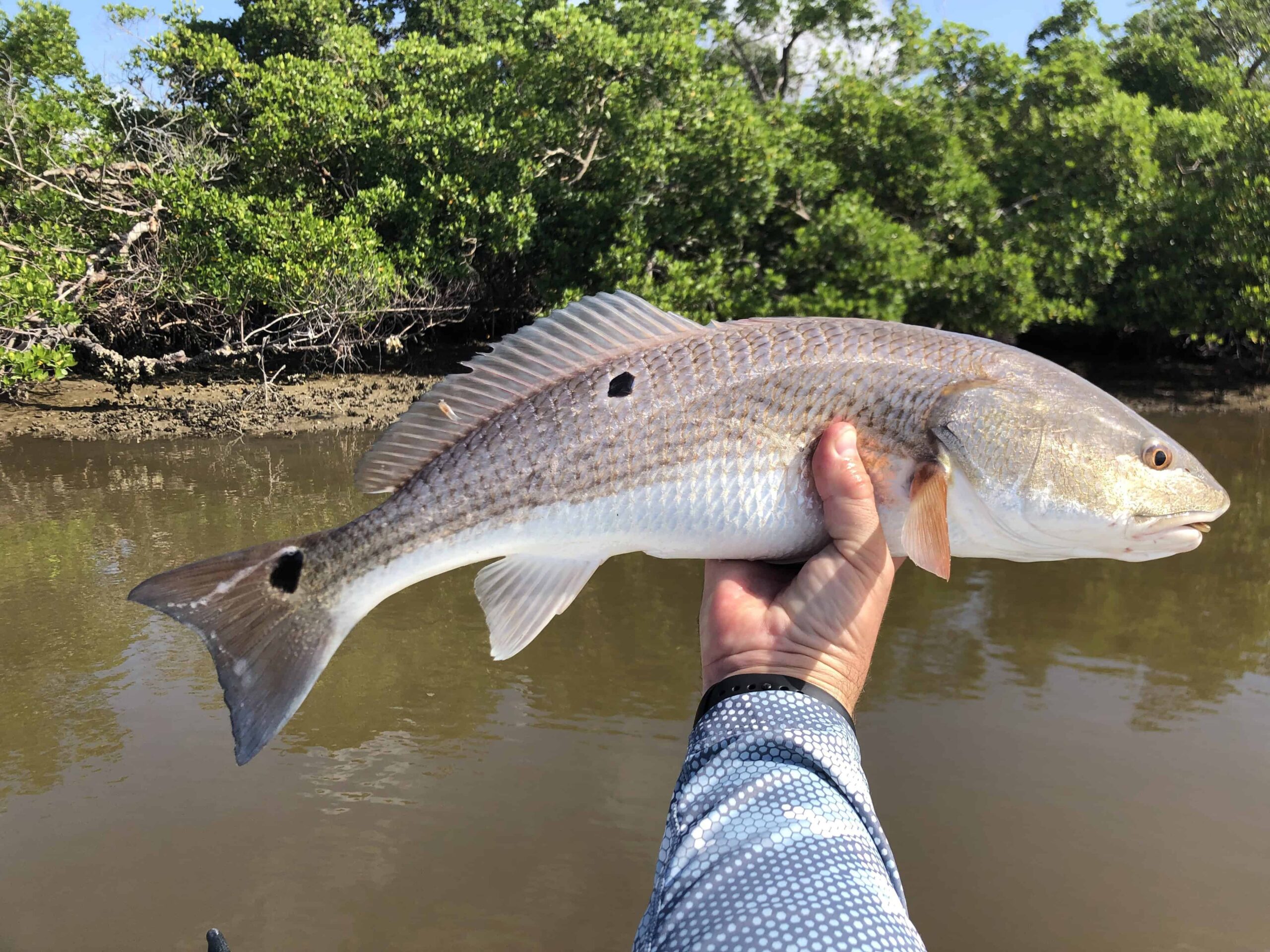 The Top 5 Places to Catch Redfish in the USA