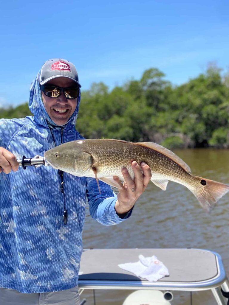 Redfish